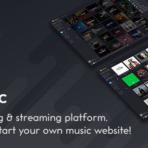 Music Streaming Engine – BeMusic