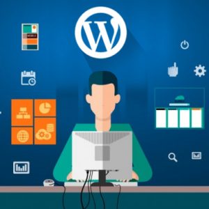 WordPress Website Create with Premium Theme with SEO